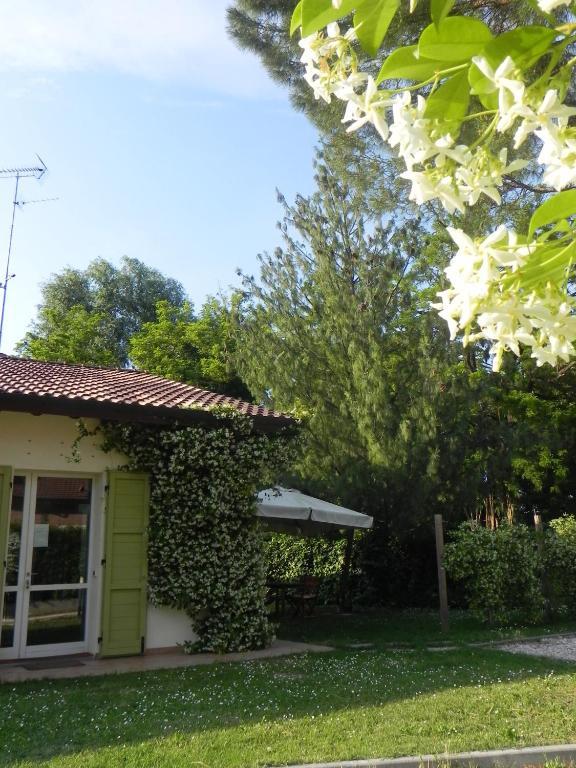 Caterina Residence Faenza Eksteriør bilde