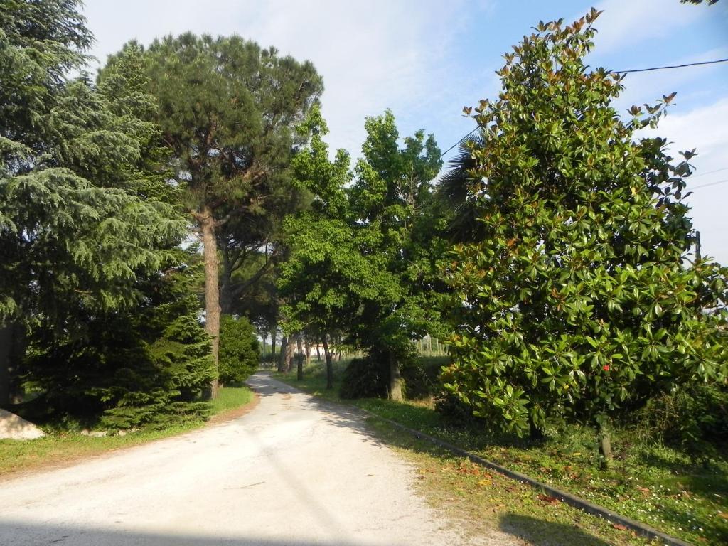 Caterina Residence Faenza Eksteriør bilde