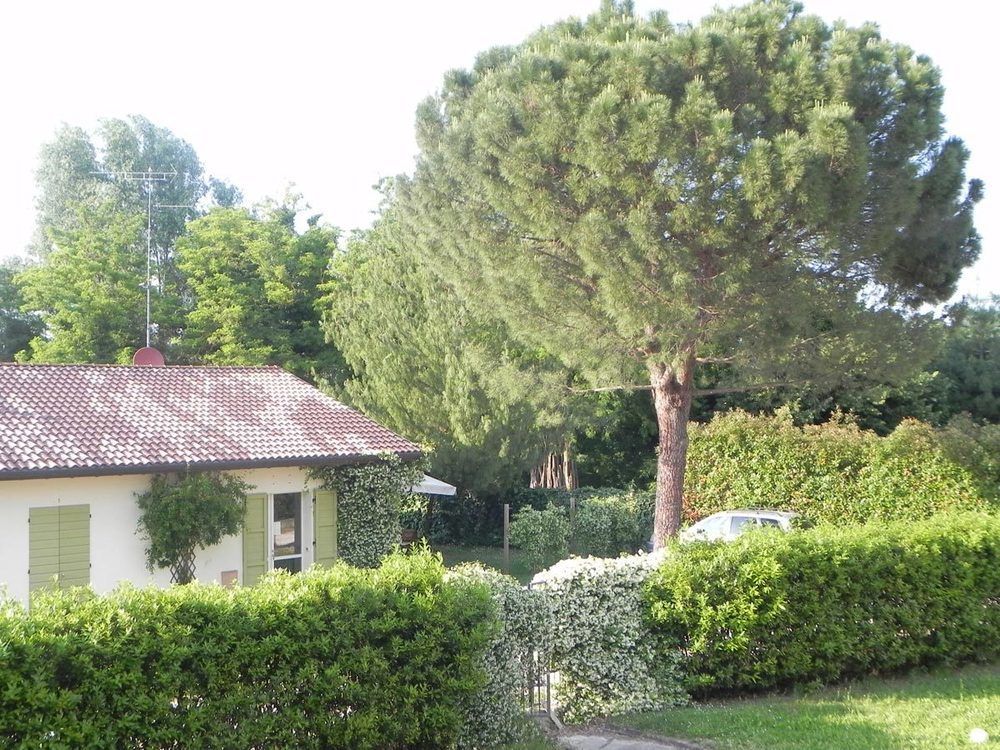Caterina Residence Faenza Eksteriør bilde